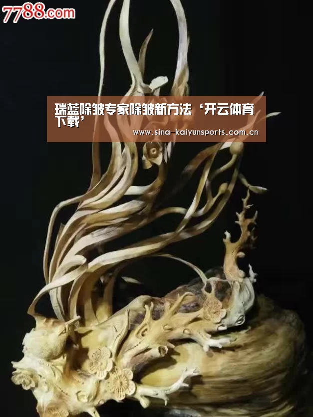 瑞蓝除皱专家除皱新方法‘开云体育下载’(图1) 开云