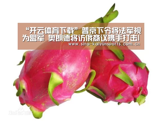 “开云体育下载”普京下令将法军视为盟军 奥朗德将访俄商议携手打击IS(图1) 开云App下载